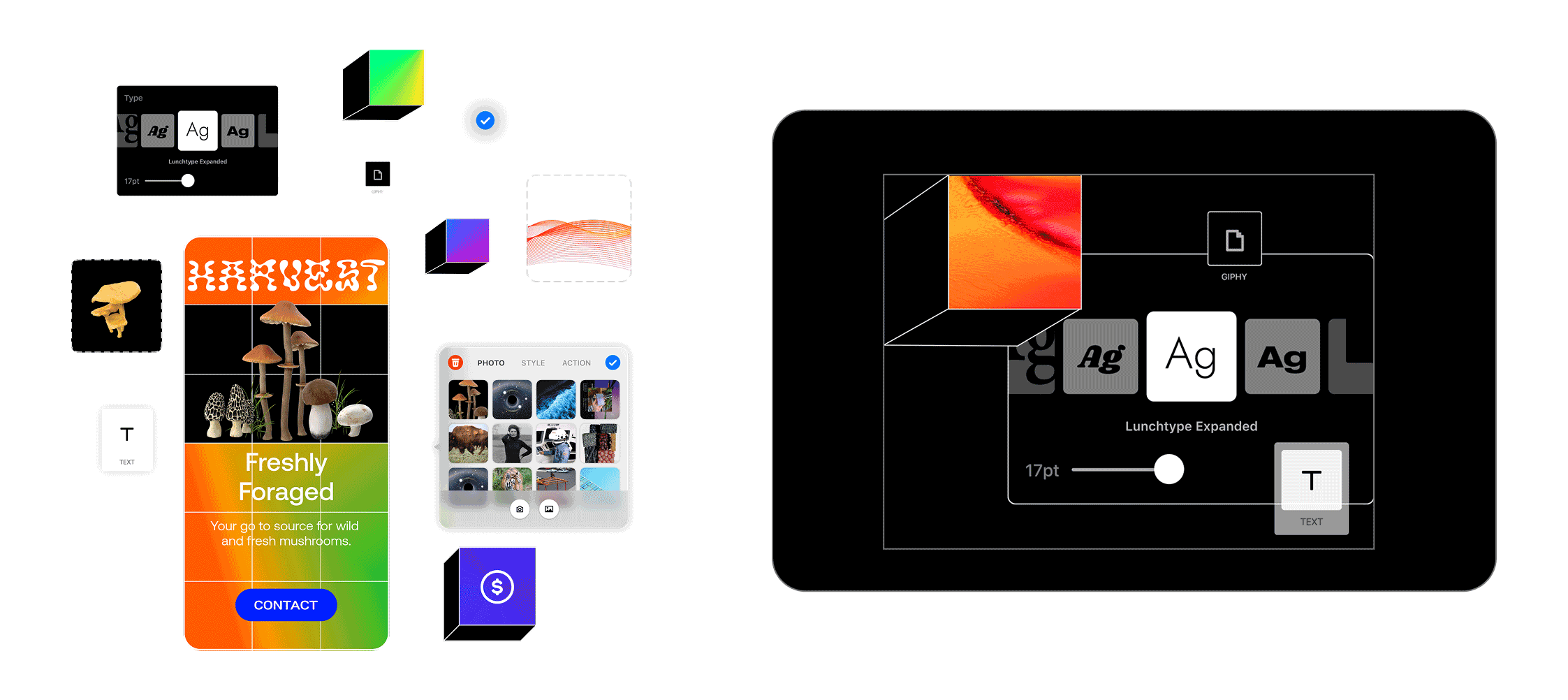 WWDC detail 2